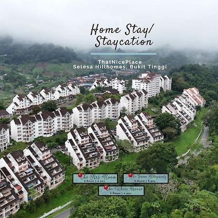 Thatniceplace - Bukit Tinggi, Janda Baik, Bentong, Genting ภายนอก รูปภาพ
